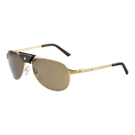 cartier ct0074s|Cartier CT0074S Sunglasses .